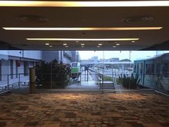 -樟宜机场免税店
