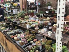 -秦美花卉(天朗·莱茵小城2期店)