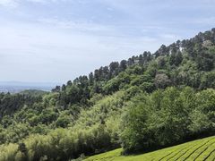 -敬亭山风景名胜区