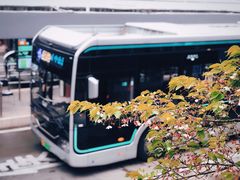 -上海南浦大桥长途旅游客运站