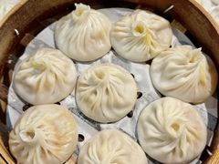 -莱莱小笼·乔艾