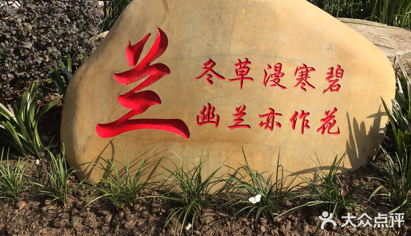 梅兰竹菊诗情画意——清风园（菊花盛开中）