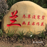梅兰竹菊诗情画意——清风园（菊花盛开中）