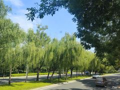 -北京凤凰岭