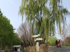 -西安浐灞国家湿地公园