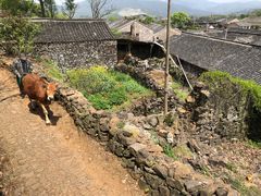 -许家山