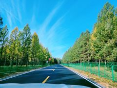 -塞罕坝国家级自然保护区