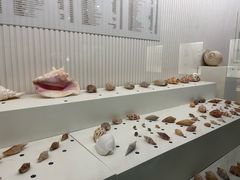 -青岛贝壳博物馆