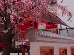 -老龙亭拉面店