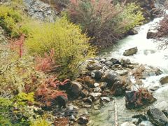 -稻城亚丁风景区-电瓶观光车售票处