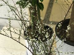 -L'Arome芳芳法国餐厅(仙林金鹰店)