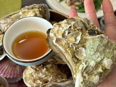 -老家黄墩小错鸡·活海鲜