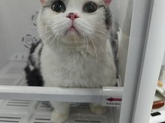 -博特宠物医院24h犬猫全科.骨科·异宠