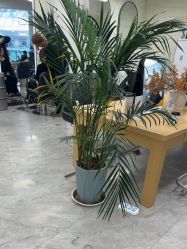 点击看大图 -慕名造型