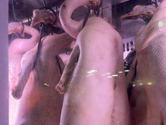 -盛品鲜东莞烧鹅濑粉(杨箕店)