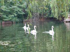 -石家庄市动物园