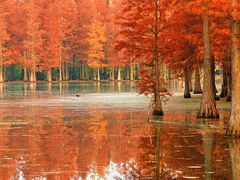 -三圣花乡旅游区