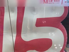 -红星美凯龙(上海沪南店)