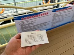 -白洋淀景区