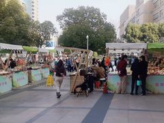 -巴黎春天(浦建店)