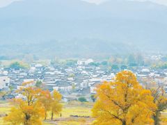 -塔川景区