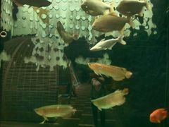 -弘安丽水温泉酒店