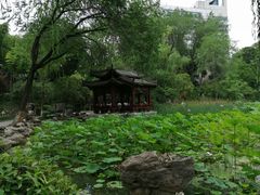 -莲湖公园