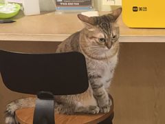 -H立方实景剧情密室(天河旗舰店)