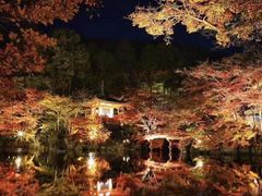 -醍醐寺