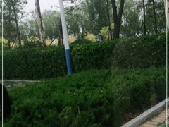 -东营·森林乐园