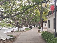 -江心屿景区