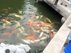-同里湖度假村(二期店)