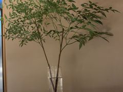 -佬肥猫(国华广场店)