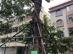 -珠江夜游西堤码头