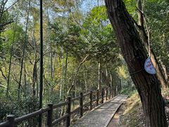 -上海佘山国家森林公园天马山园