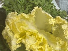 -草原传奇鲜羊火锅(桥北店)