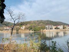 -龙寺生态园