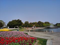 -上海鲜花港