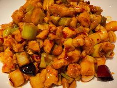 -大鸭梨烤鸭店(花园村店)
