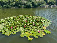 -前关湿地公园