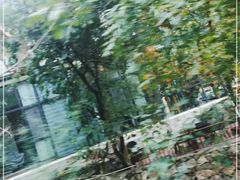 -终南山丹青茶宿