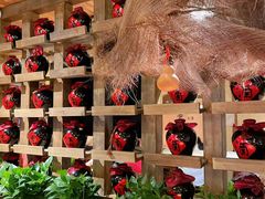 -泥糊破店小酒馆·团建聚餐(南京西路店)