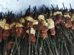 -高原第一家资格烤羊肉(玉林南路总店)
