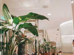 -香港百合居(LCM置汇旭辉广场店)