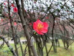 -塔子山公园
