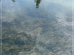 -贵阳市花溪国家城市湿地公园