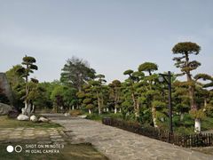 -武汉紫薇都市田园