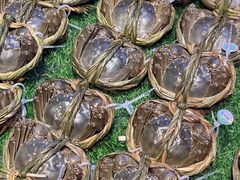 -百佳永辉超市(福田星河店)