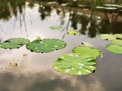 -河北村民俗体验园