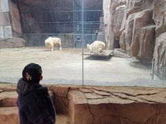 -鄂尔多斯野生动物园